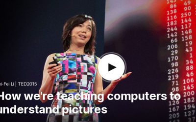 在情人眼中:计算机智能的步伐